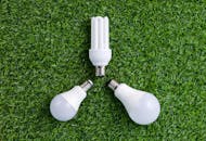 Three energy-efficient light bulbs placed on vibrant green grass, symbolizing sustainable energy.