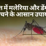 malaria and dengue prevention