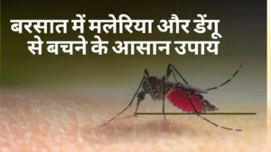 malaria and dengue prevention