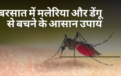 malaria and dengue prevention
